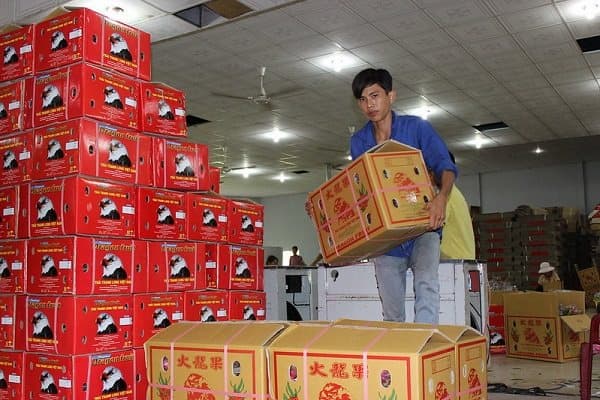 hang nhap khau tu san dau ve viet nam