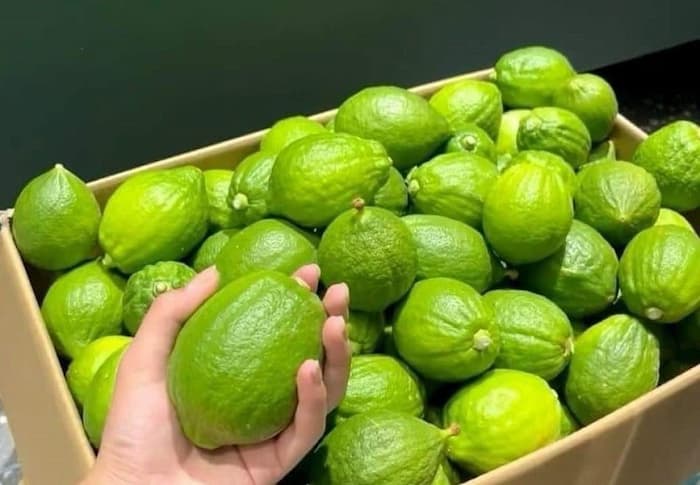 van chuyen hang tu chu hai ve vieth nam 1